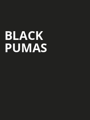 Black Pumas, Paramount Theatre, Brooklyn