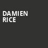 Damien Rice, Kings Theatre, Brooklyn