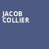 Jacob Collier, Brooklyn Steel, Brooklyn