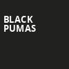 Black Pumas, Paramount Theatre, Brooklyn